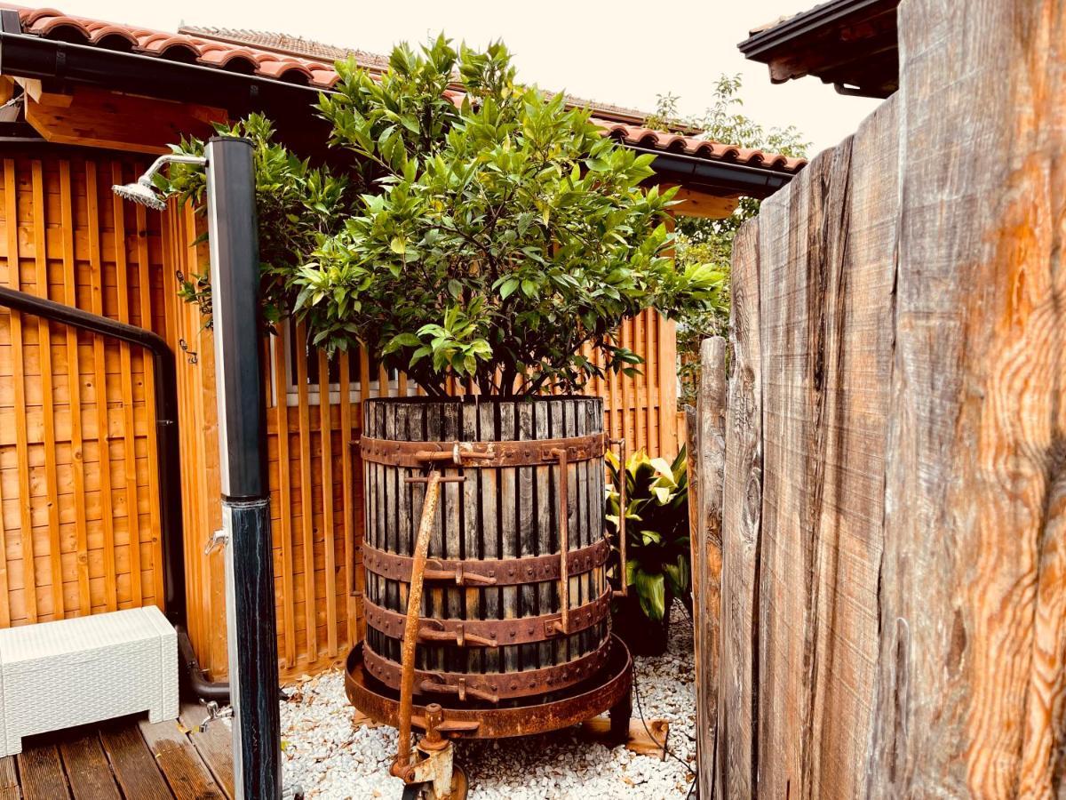 Casa Da Carmen Boutique & Private Spa Mezzolombardo Zewnętrze zdjęcie